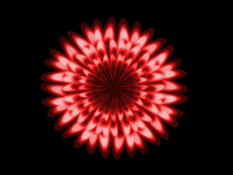 Red Fractal Flower — Symmetrical
