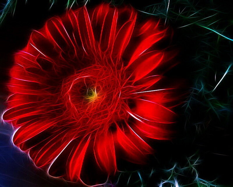 Red Fractal Flower