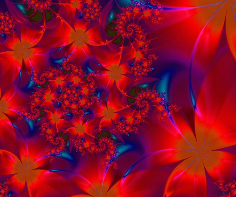 Red Fractal Flowers — Vibrant