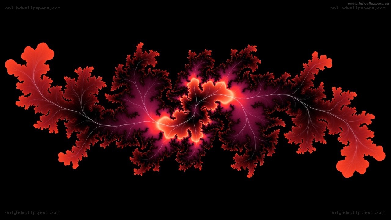 Red fractal leaf pattern