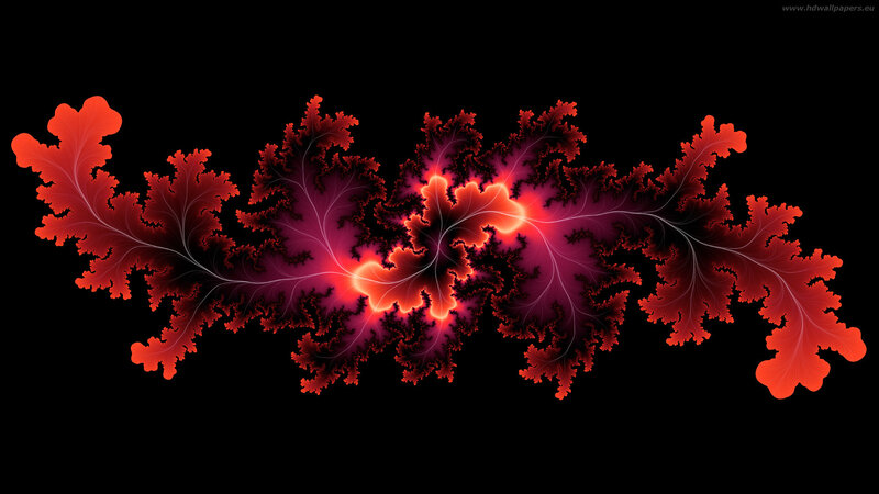 Red fractal leaf pattern