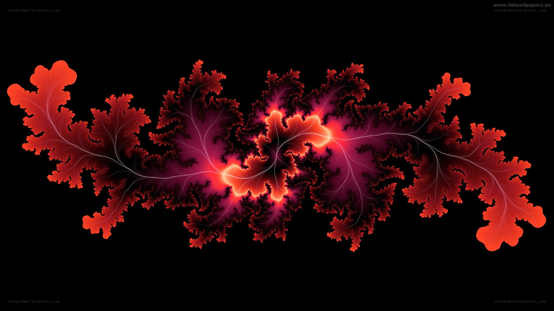 Red fractal leaf pattern
