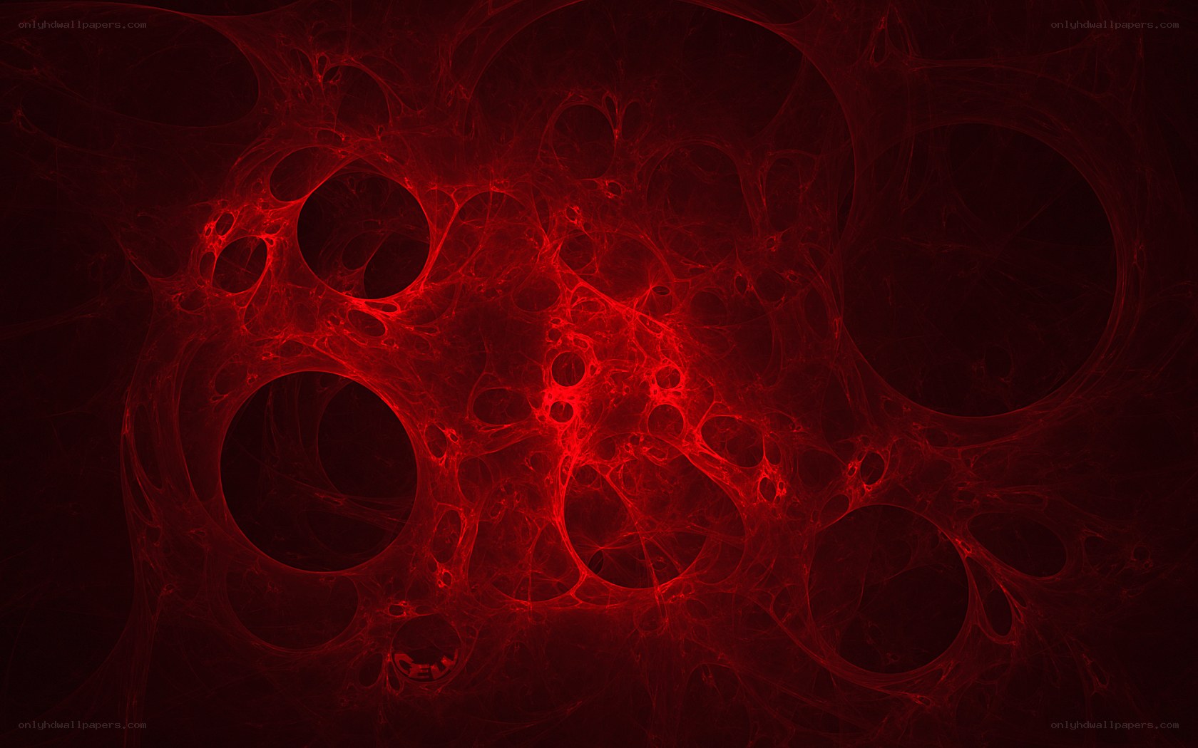 Red fractal network pattern