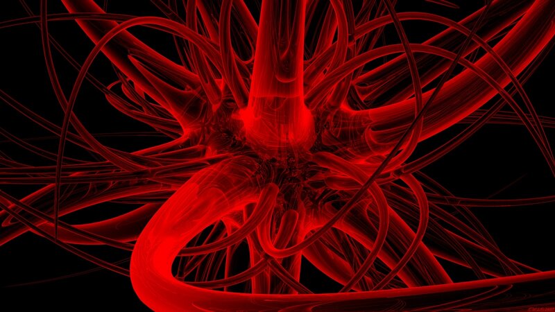 Red fractal network