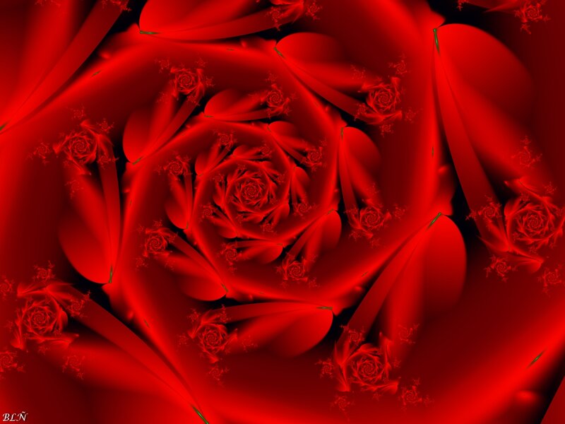 Red Fractal Rose