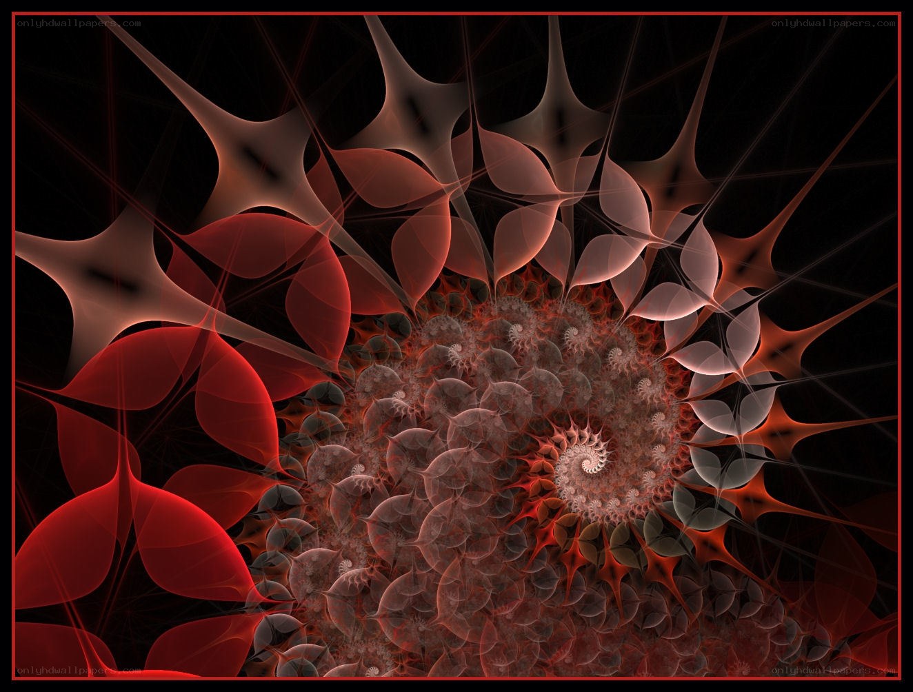 Red fractal spiral pattern