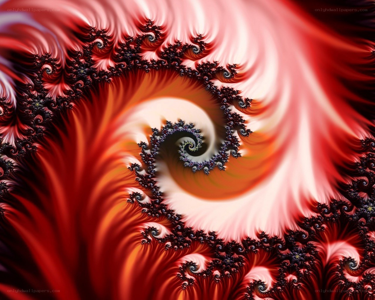 Red fractal spiral pattern