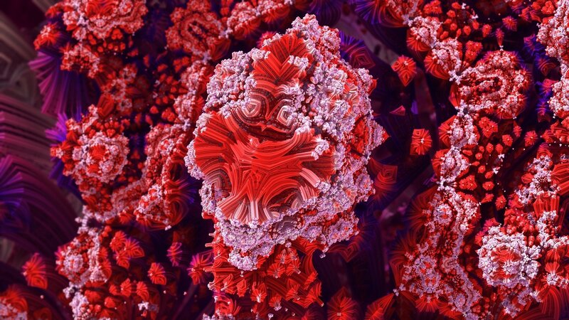 Red fractal structure