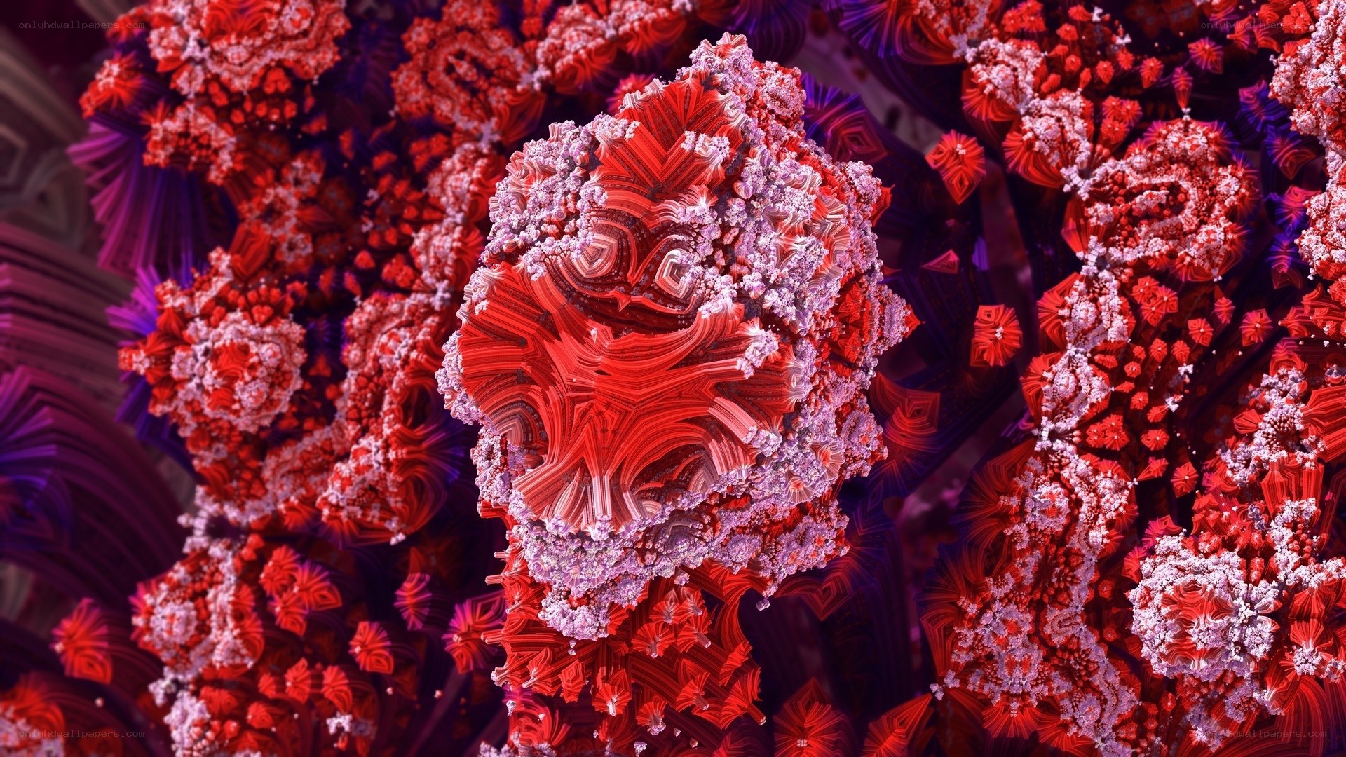 Red fractal structure