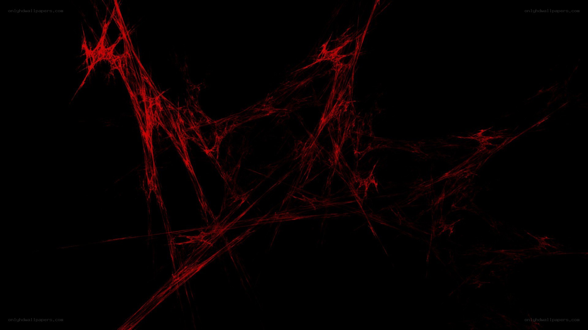 Red fractal web on black