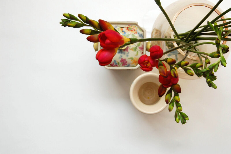 Red Freesia Flowers