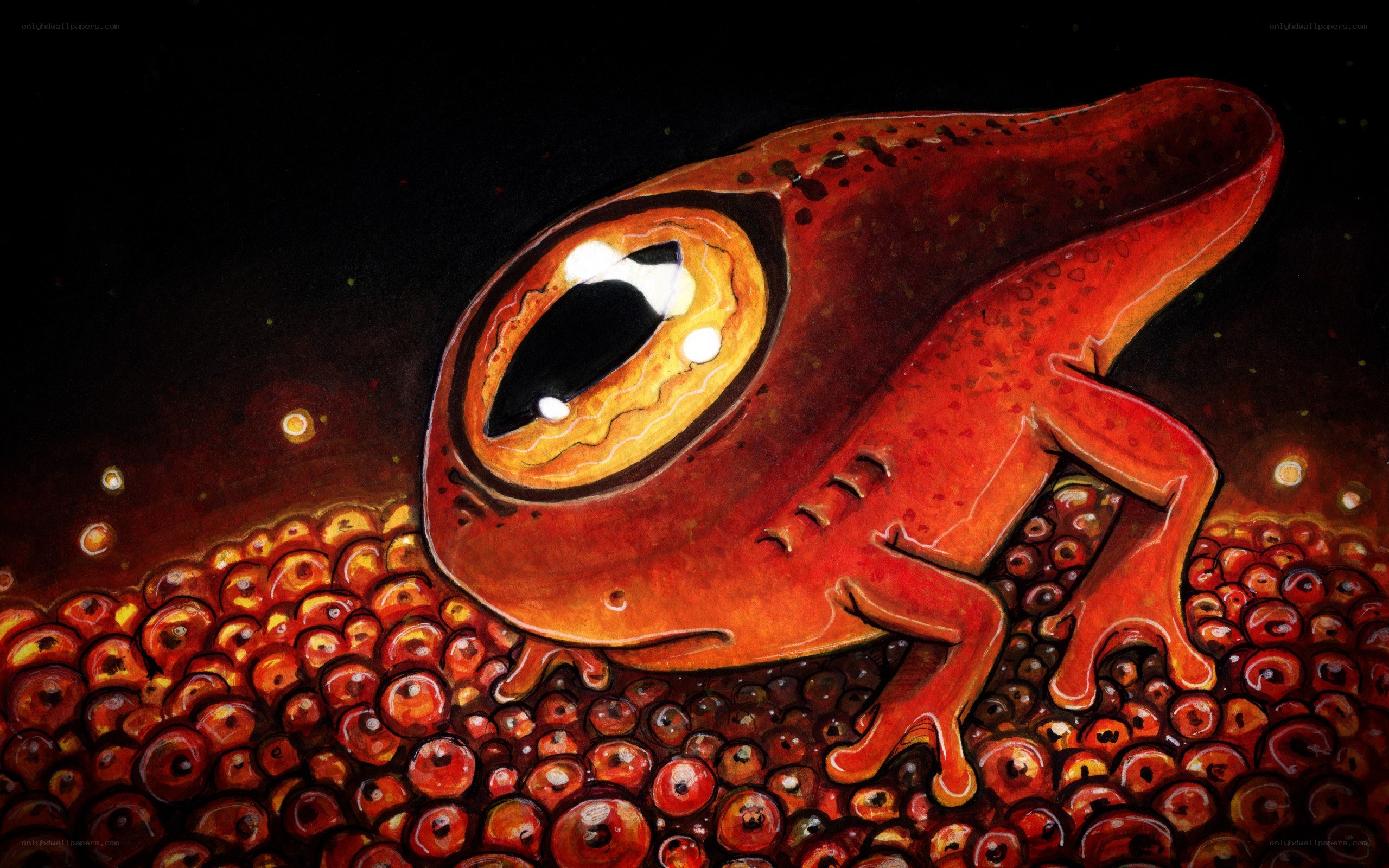 Red frog with large eye