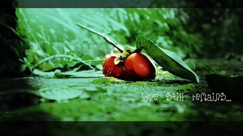 Red Fruit on Moss