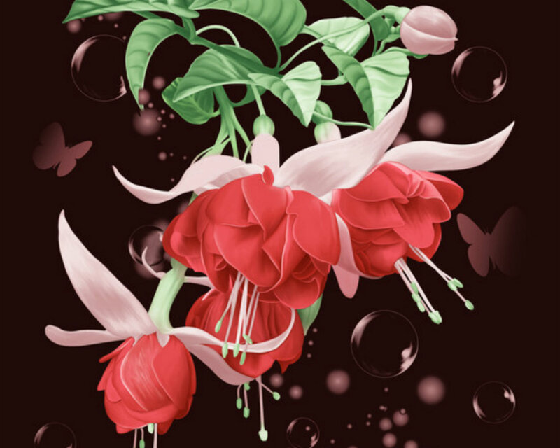 Red Fuchsia Flowers — Dreamy