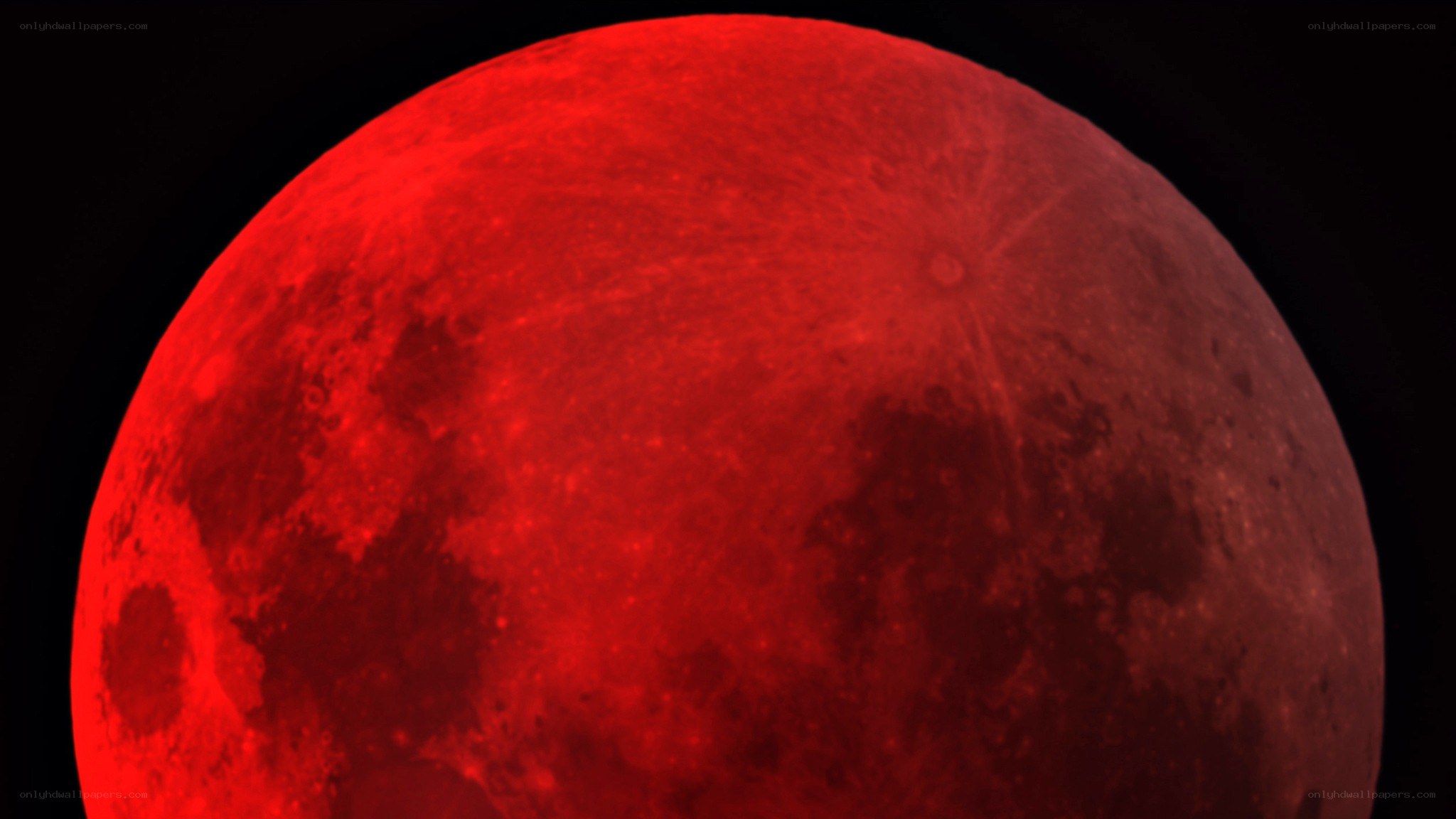 Red full moon in night sky
