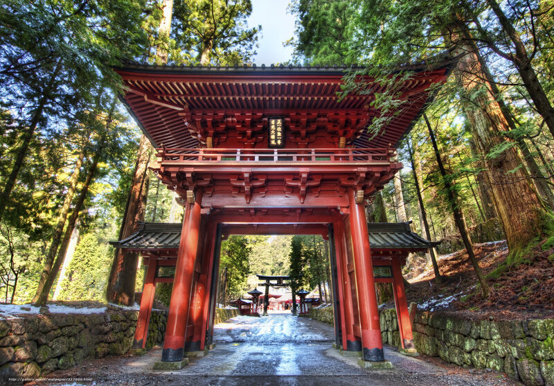 Red gate in a forest