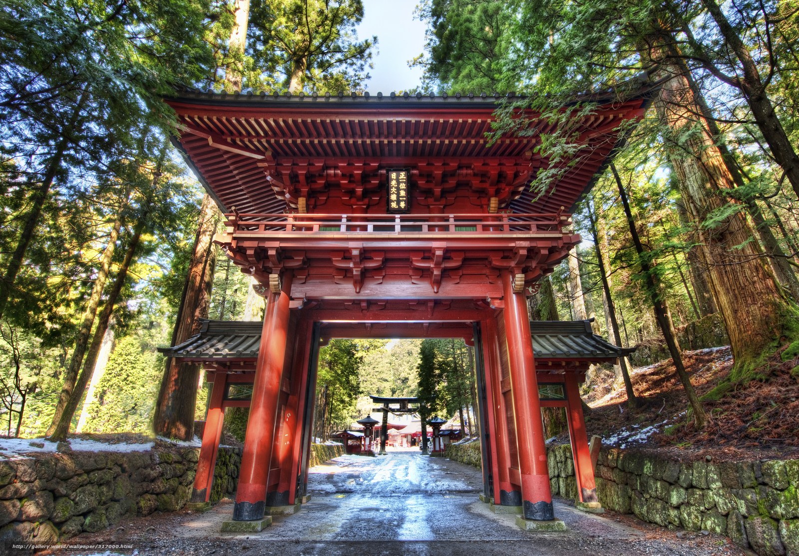 Red gate in a forest