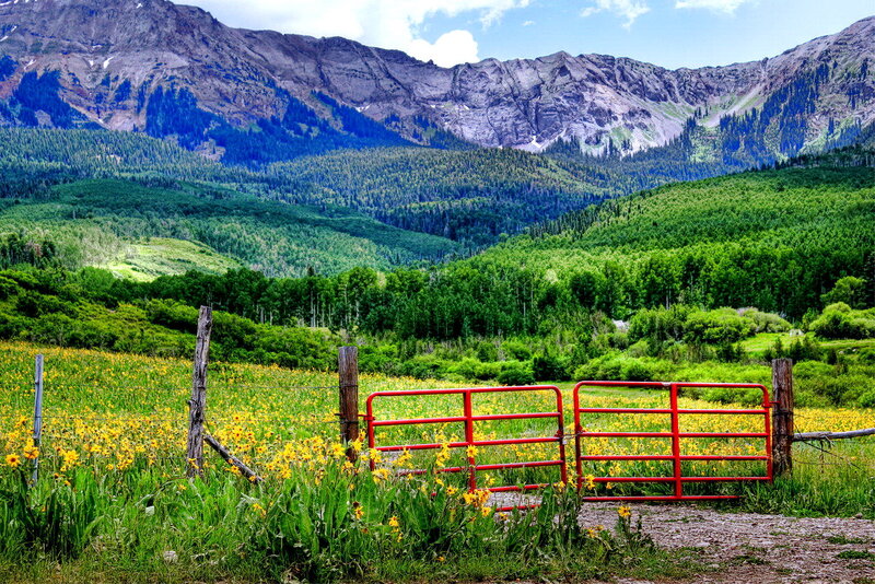 Red Gate in Field