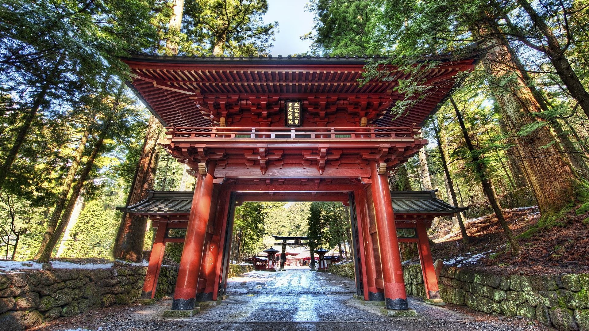 Red gate in forest shrine