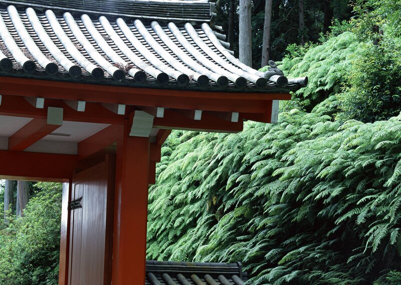 Red Gate with Tiled Roof