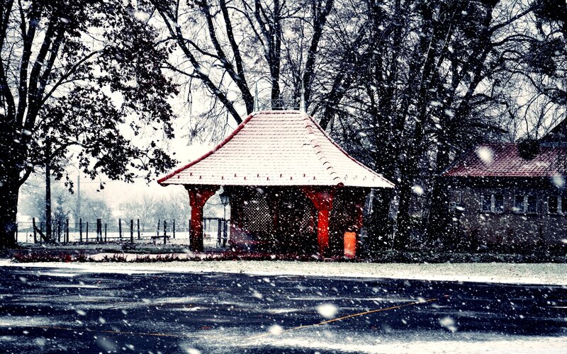 Red Gazebo in Snow — White