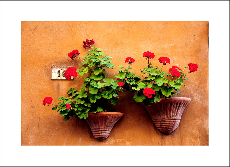 Red Geraniums in Pots