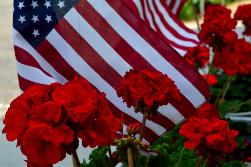 Red Geraniums with Flag — Patriotic