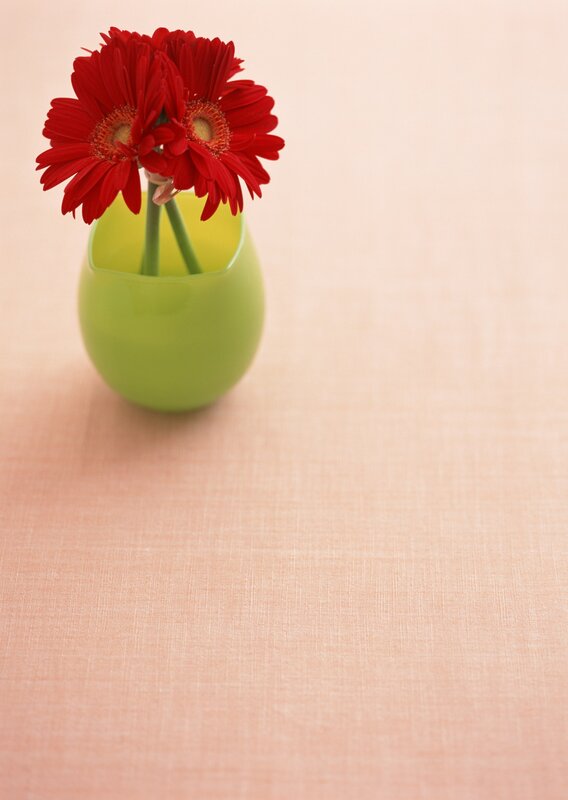 Red Gerbera Daisies — Calm, Photograph, Vase, Table