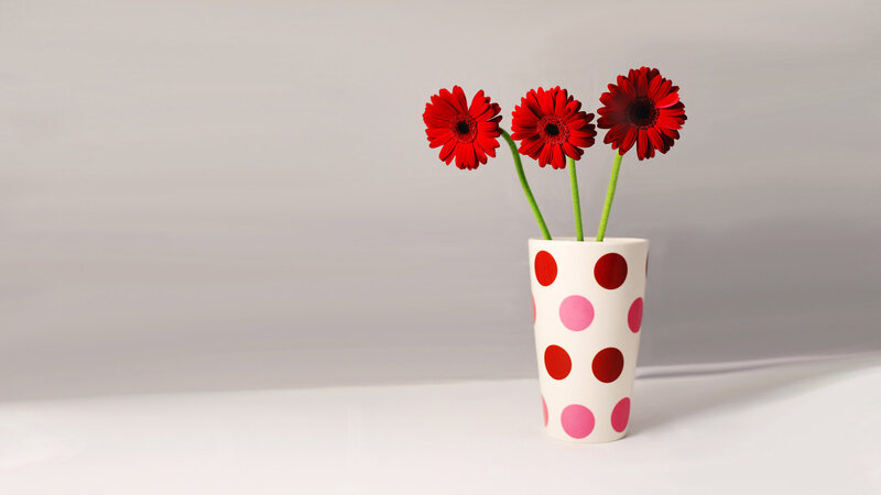Red Gerbera Daisies in Vase — White