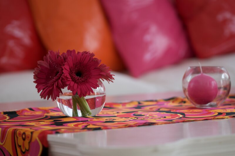 Red Gerbera Daisies — Pink