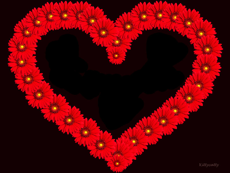 Red Gerbera Daisies — Romantic, Digital Art