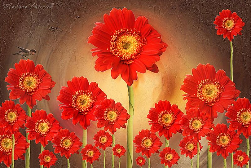 Red Gerbera Daisies — Serene