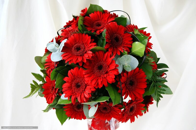 Red gerbera daisy bouquet
