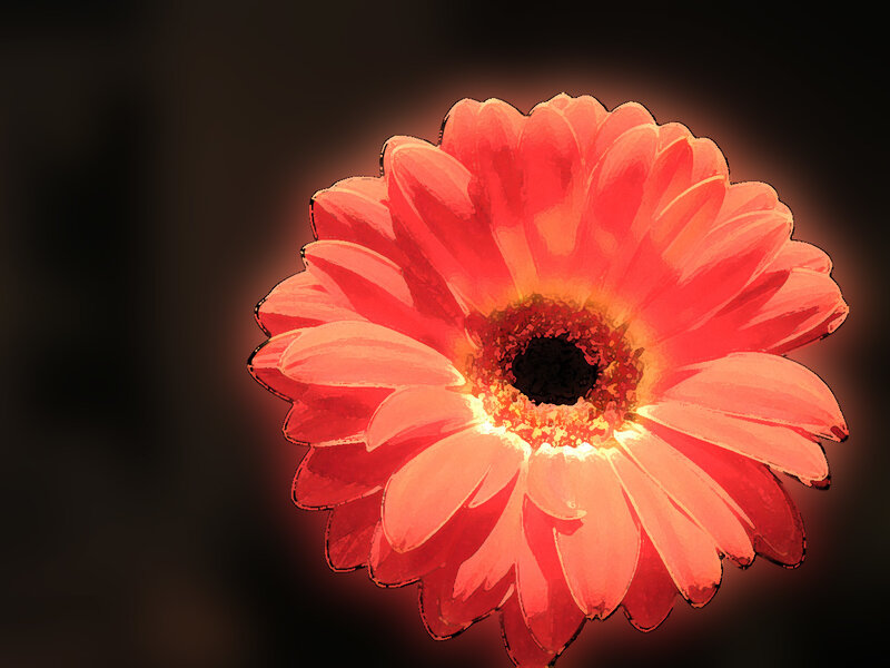 Red Gerbera Daisy — Dramatic, Digital Art