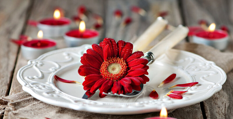 Red Gerbera Daisy on Plate — White