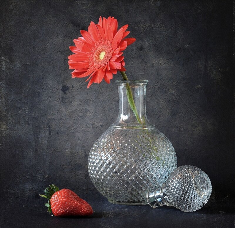 Red Gerbera in Glass Vase
