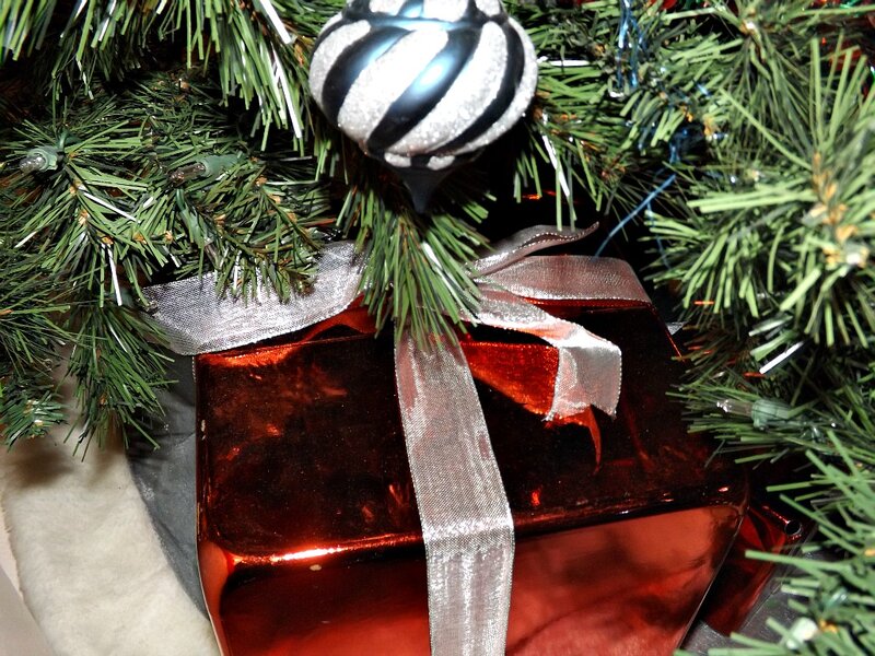 Red Gift Box under Tree