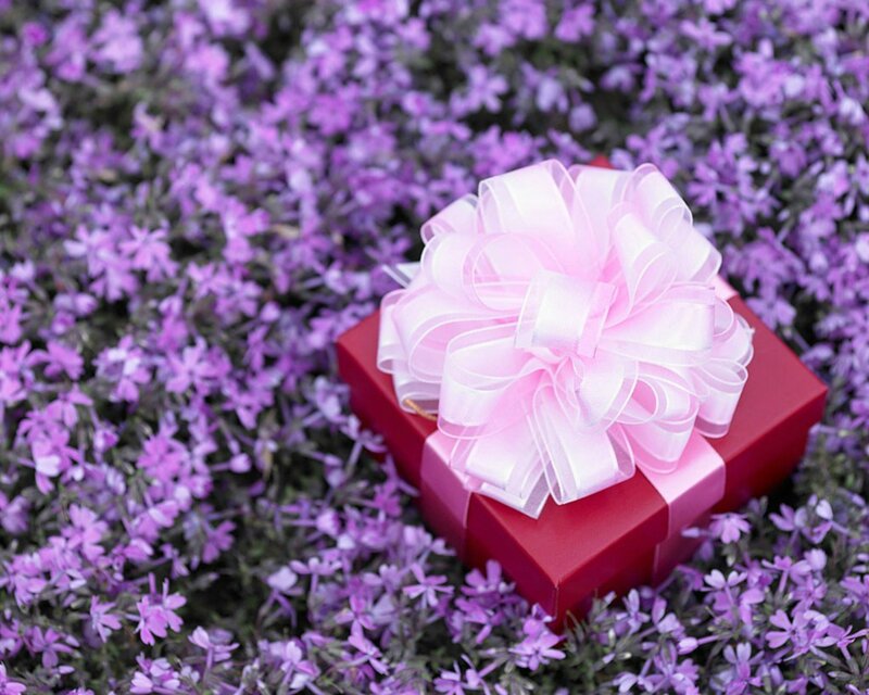 Red Gift Box with Bow — Festive, Spring