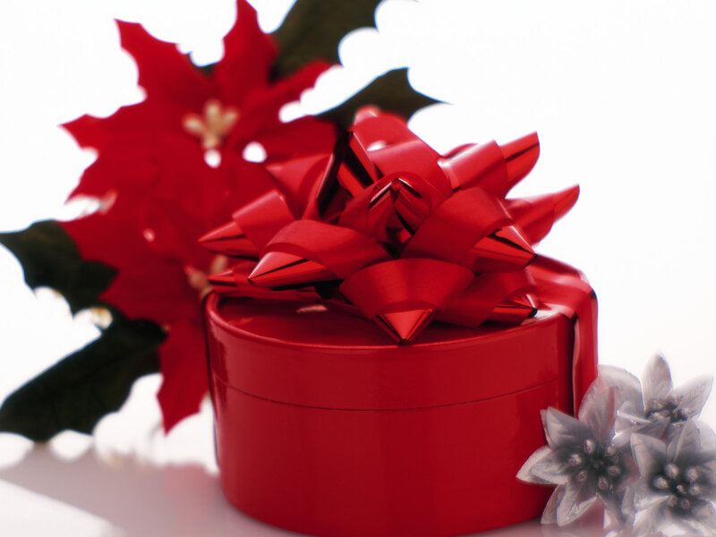 Red Gift Box with Bow — Festive, Winter, Photograph, Poinsettia