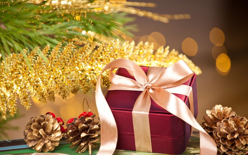 Red Gift Box with Ribbon — Festive, Winter, Photograph, Pine Cones