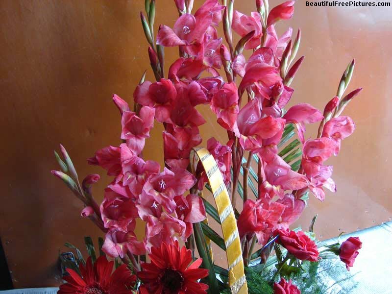 Red Gladiolus Bouquet