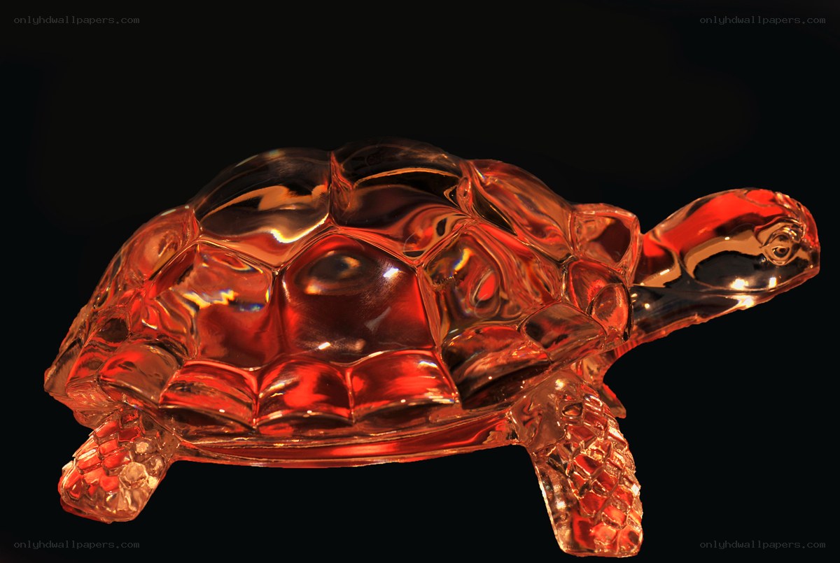 Red glass turtle sculpture