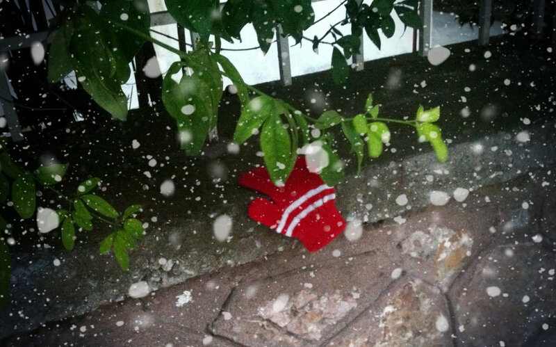 Red Glove on Stone