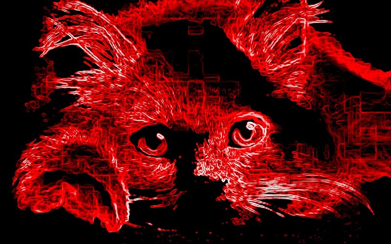 Red Glowing Cat Face