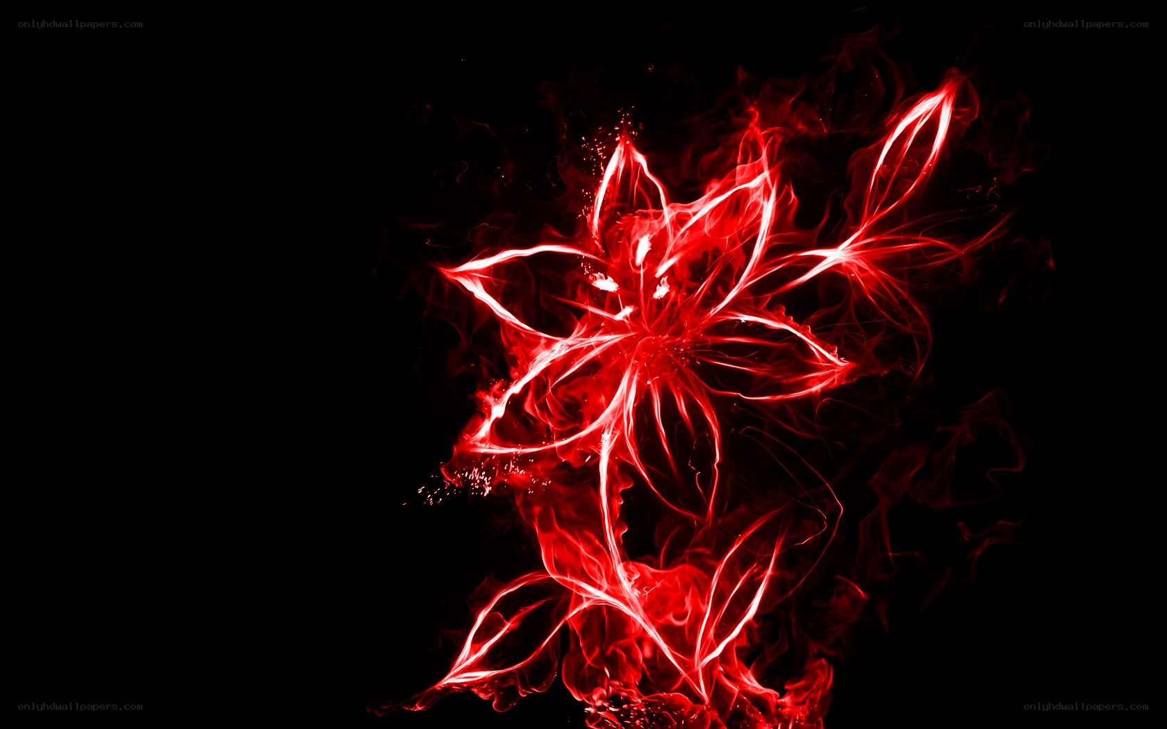 Red glowing flower design