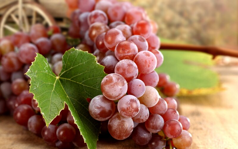 Red Grapes with Leaf