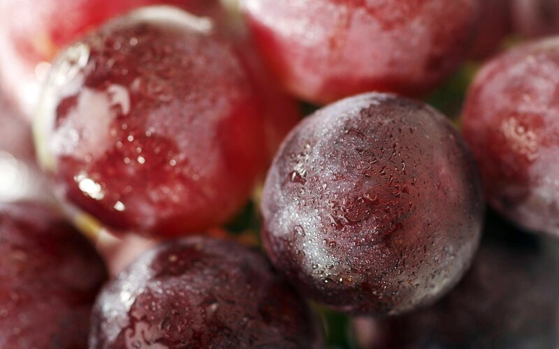 Red Grapes with Water Droplets — Fresh