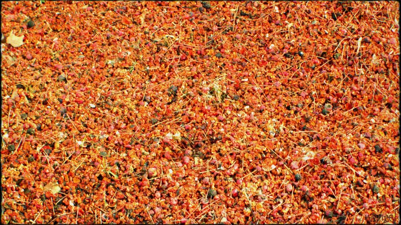 red gravel surface texture