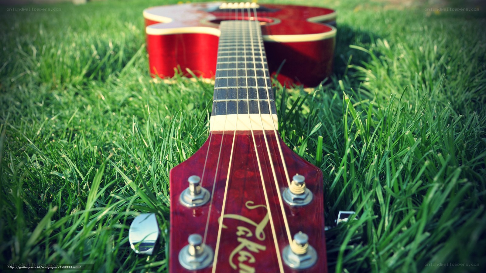 Red guitar on green grass