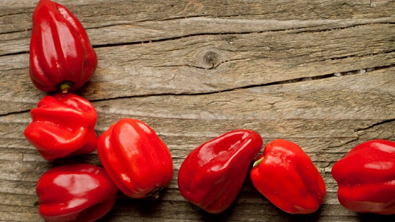 Red Habanero Peppers — Natural